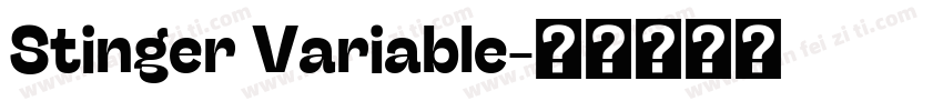 Stinger Variable字体转换